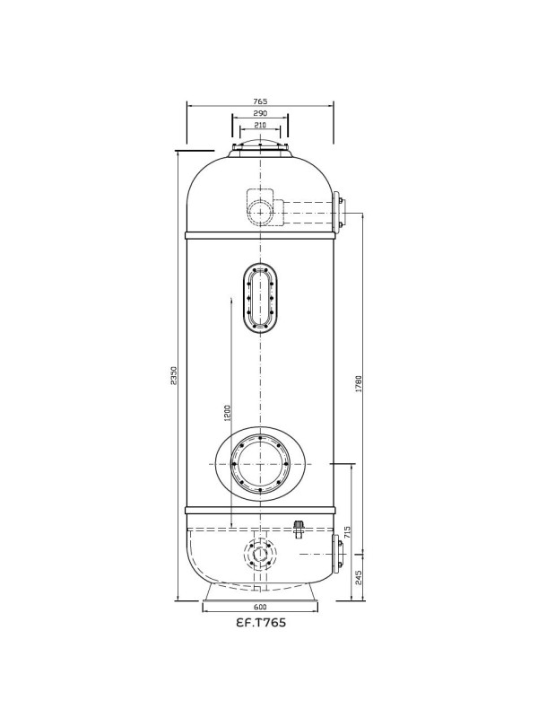 Фильтр Evo Titan, d= 765 мм, DN80, засыпка - 1200 мм, H = 2350 мм, дюзовое дно, без кл.